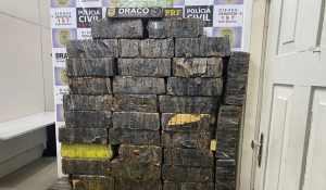 Três pessoas são presas com quase uma tonelada de maconha em casa no interior da Paraíba