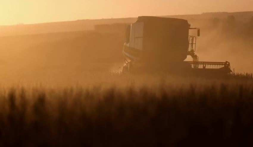 Leilões de propriedades rurais disparam no Brasil com aumento da inadimplência no campo