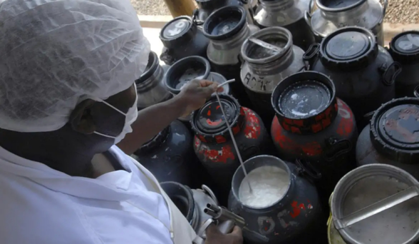 CMN libera linha de capital de giro a cooperativas de leite no Pronaf