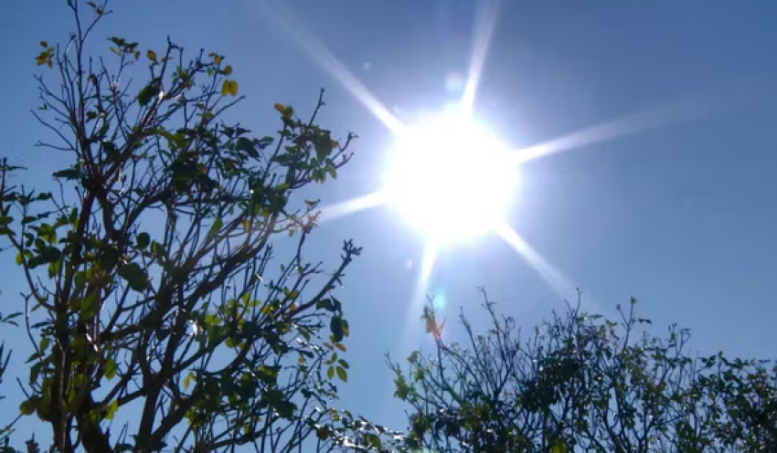 Campina Grande, na PB, decreta situação de emergência por estiagem na zona rural