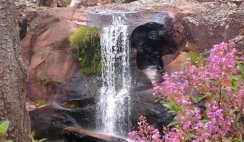 Mensagem do Dia - 27 de Abril de 2026