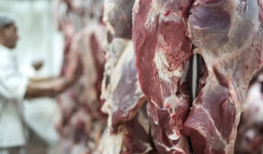 Exportações do agro crescem 11,7% e atingem recorde de US$ 16,65 bilhões em abril