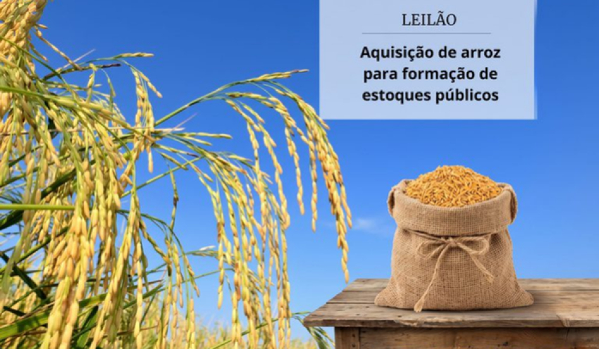 Conab realiza primeiro leilão de compra de arroz para formar estoques públicos
