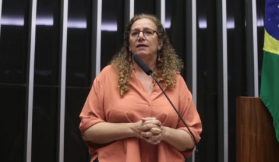 Câmara aprova projeto sobre repasses da Lei Aldir Blanc para estados e municípios