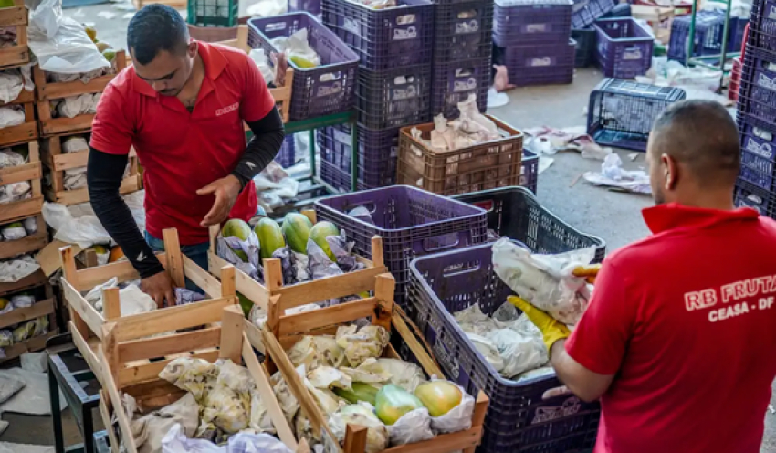 Governo anuncia crédito de R$ 97,3 bi para agricultores familiares
