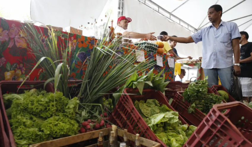 Decreto adia exigência de CNPJ para autônomos e produtores rurais