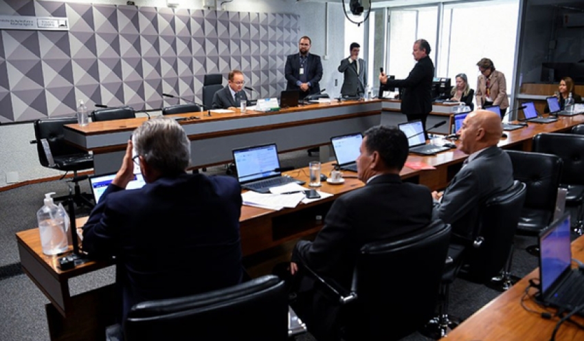 Ministro da Agricultura virá ao Senado falar sobre a gripe aviária e seus impactos