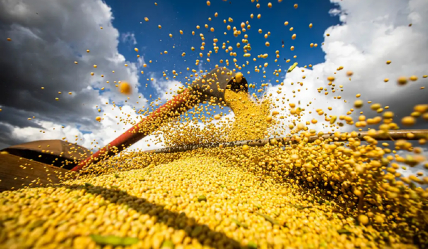Produção agrícola brasileira superou R$ 927 bilhões em 2025