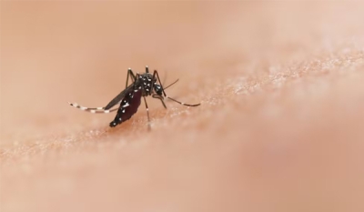 Paraíba confirma quarta morte por dengue em 2024