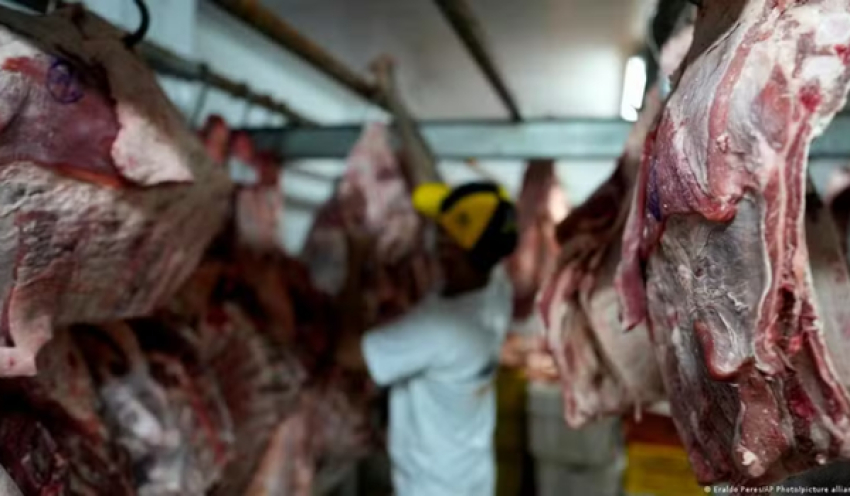 Brasil pode ficar com até 40% da nova cota de importação de carne bovina dos EUA; entenda